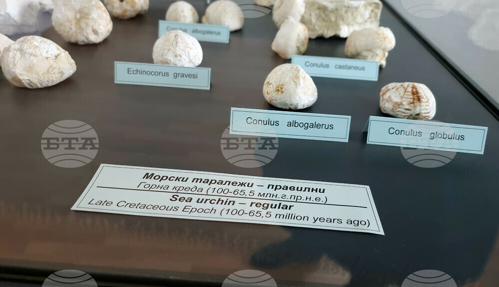 Сливен - „Фосили от Мезозойската ера" - изложба
