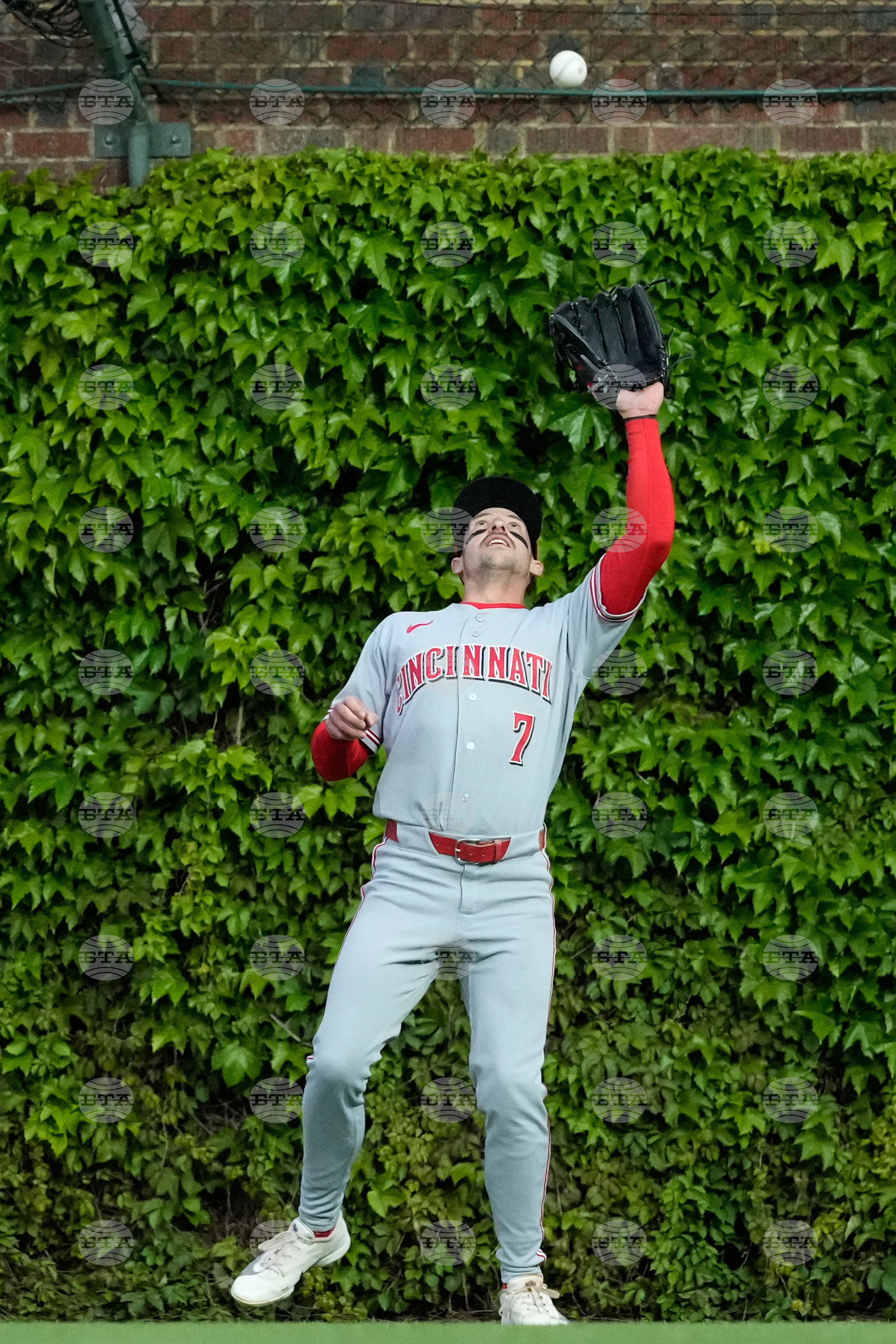 Reds Cubs Baseball