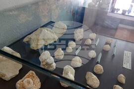 Сливен - „Фосили от Мезозойската ера" - изложба