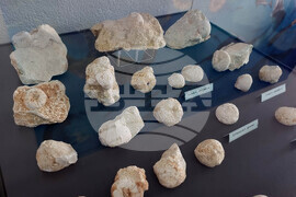 Сливен - „Фосили от Мезозойската ера" - изложба