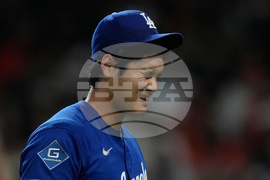 Dodgers Astros Baseball