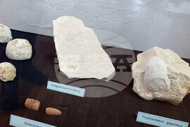 Сливен - „Фосили от Мезозойската ера" - изложба