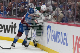 Wild Avalanche Hockey