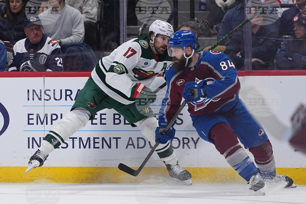 Wild Avalanche Hockey