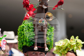 Top Vertical Photos Photo Gallery