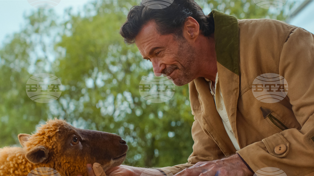 Film Review - The Sheep Detectives
