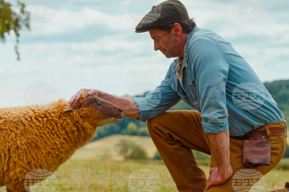 Film Review - The Sheep Detectives