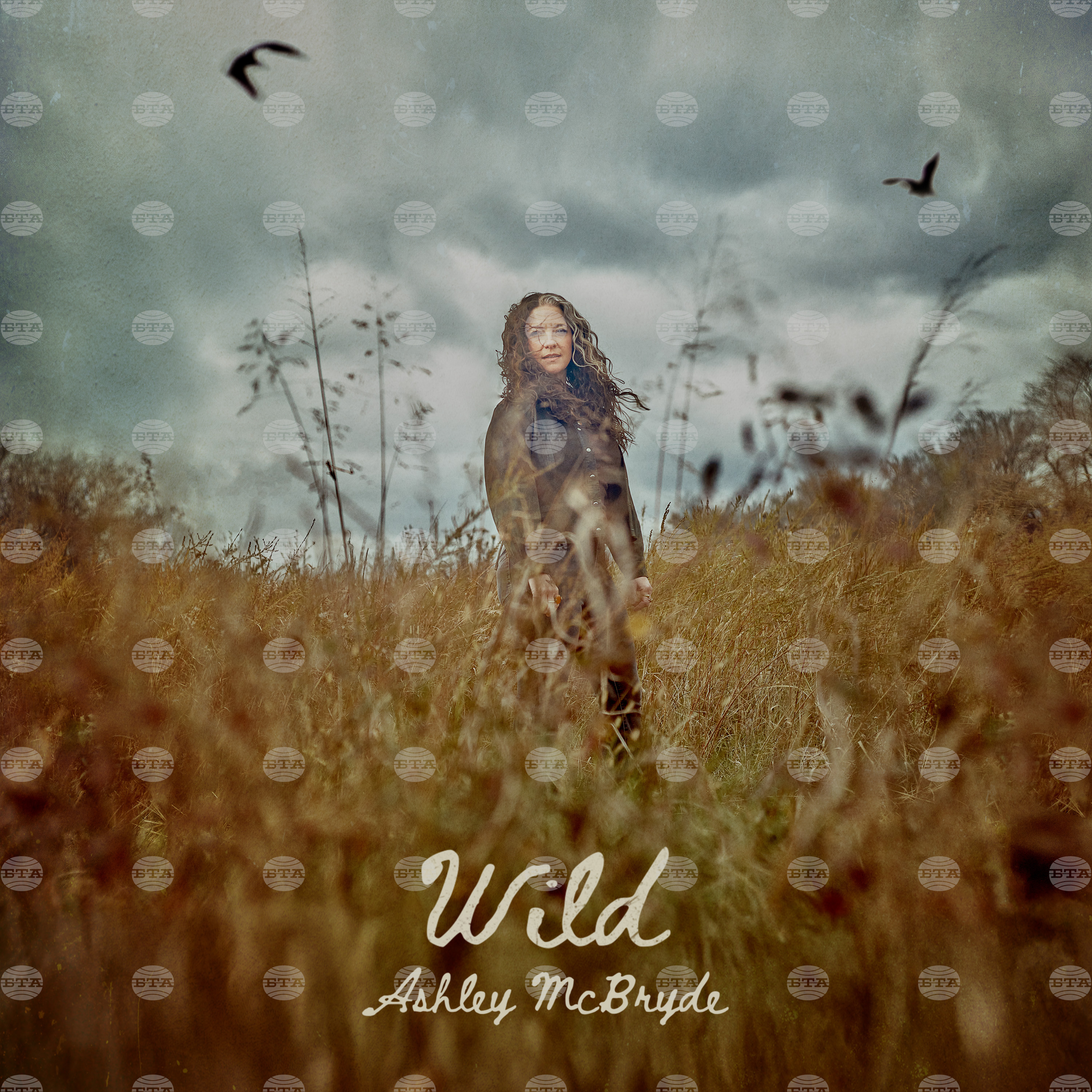 Music-Ashley McBryde