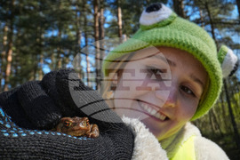Russia Toad Rescue