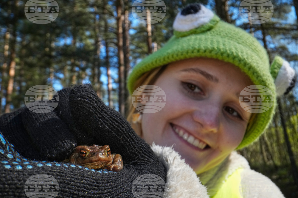Russia Toad Rescue