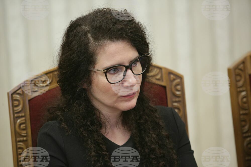 Президент - ПП-ДБ - консултации - Калина Константинова