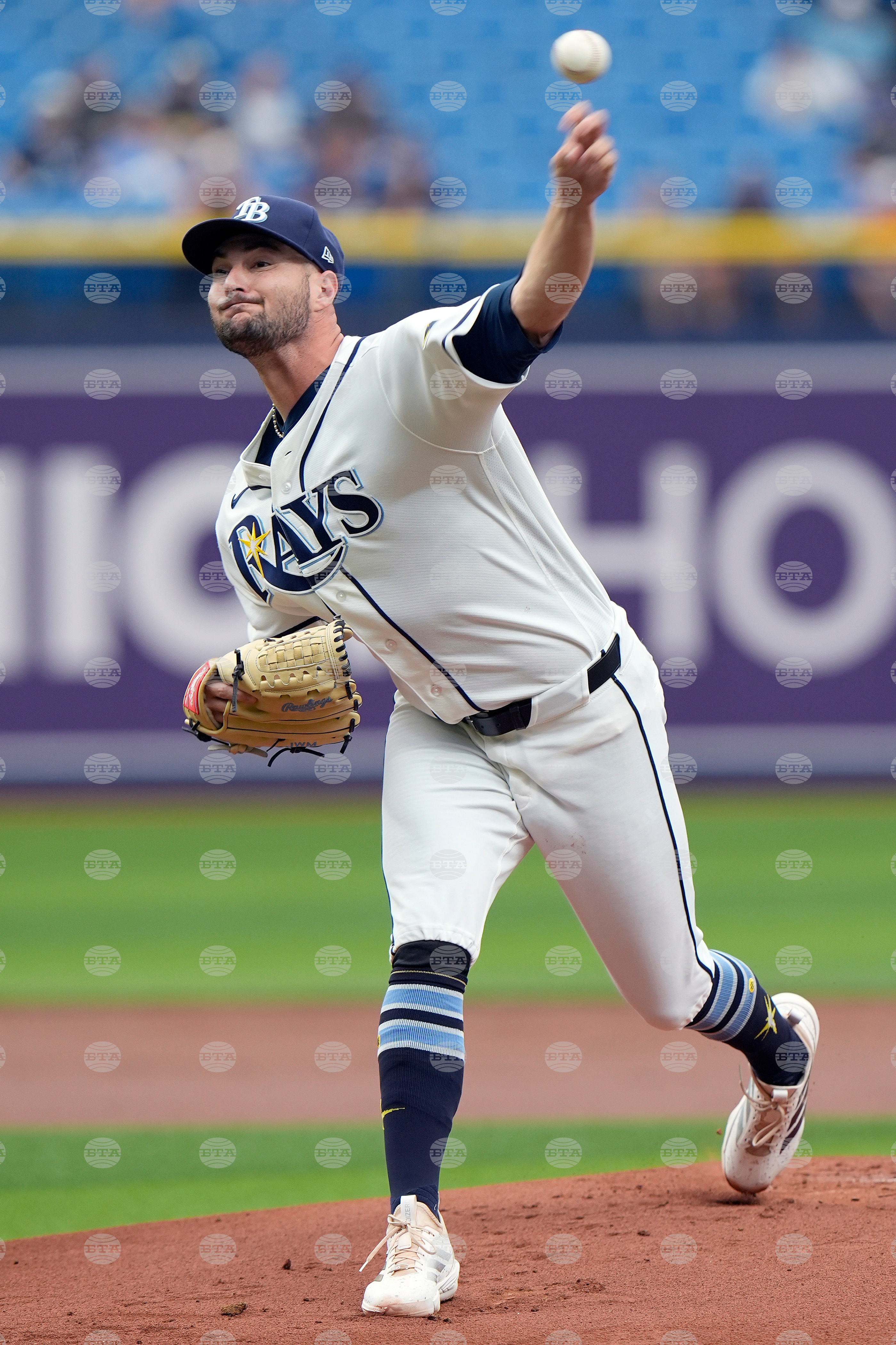 Blue Jays Rays Baseball