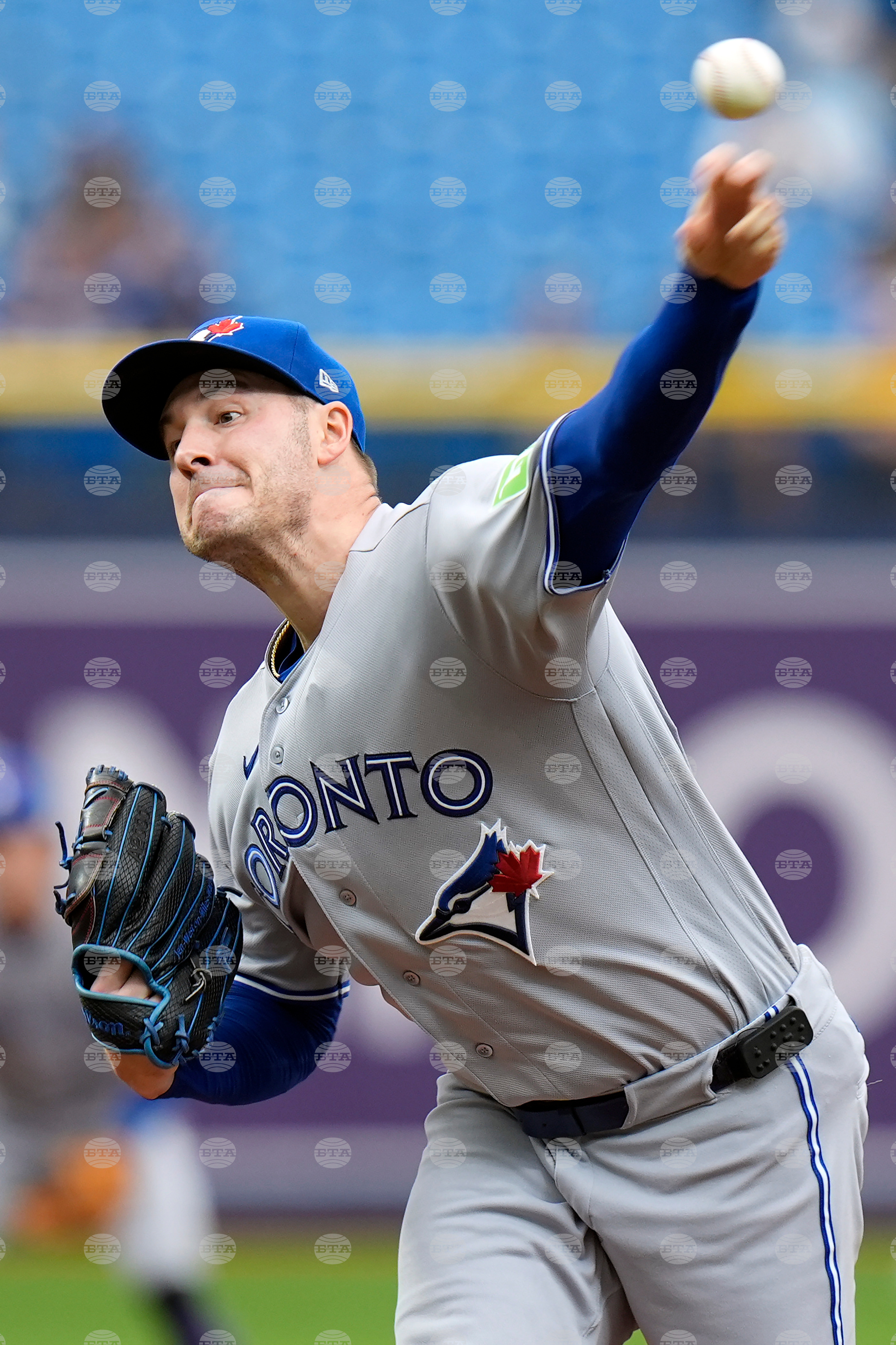 Blue Jays Rays Baseball