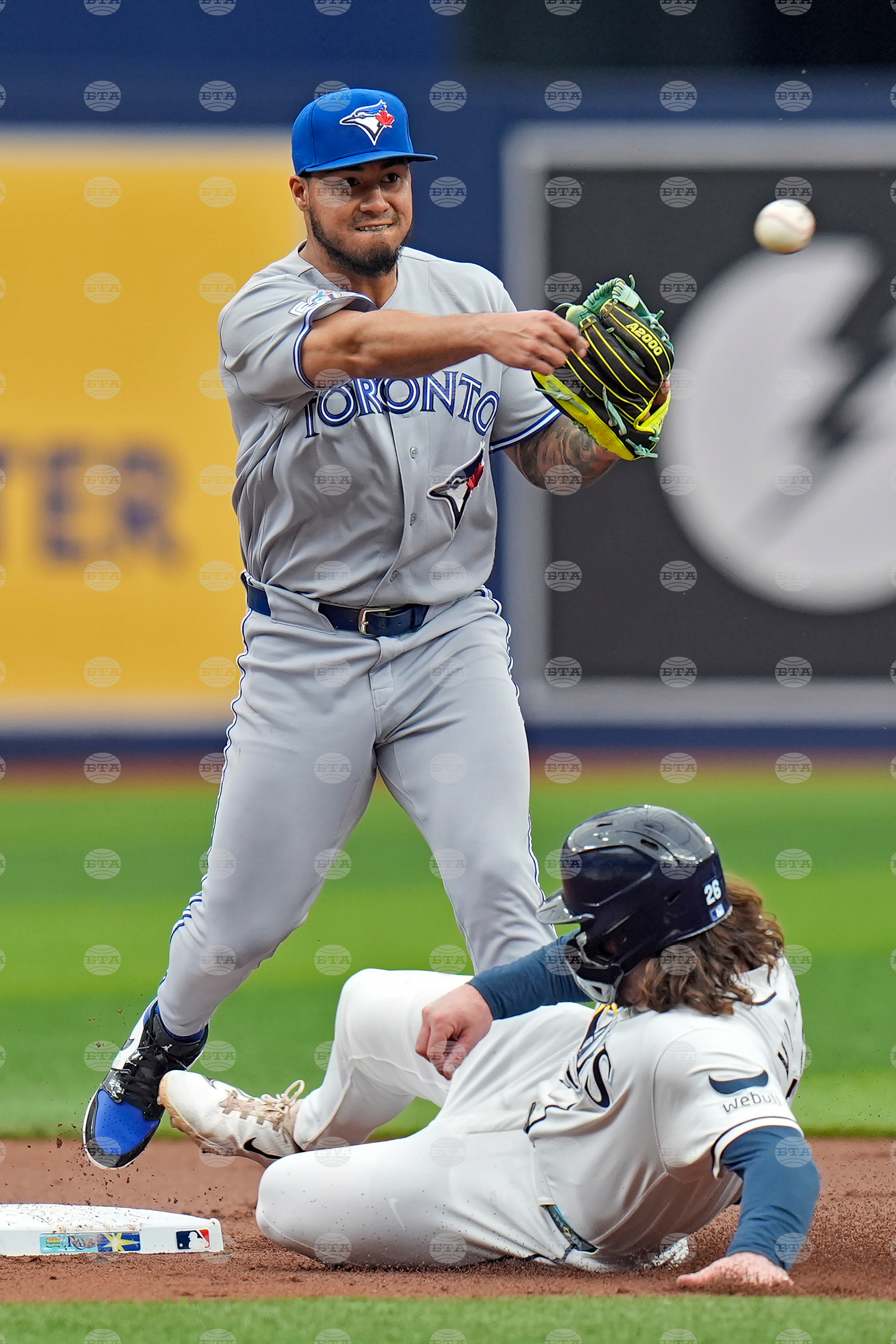 Blue Jays Rays Baseball