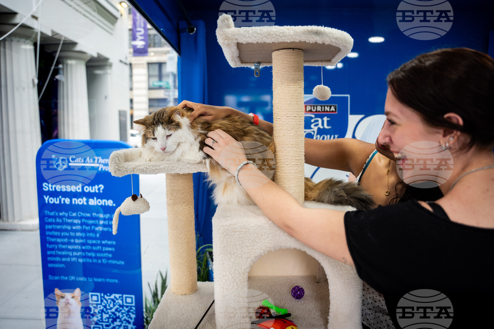 Cat Chow Therapod Tour