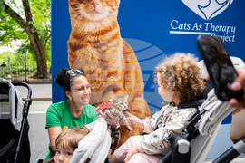 Cat Chow Therapod Tour