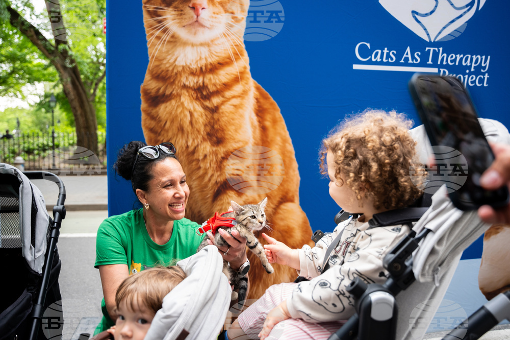 Cat Chow Therapod Tour