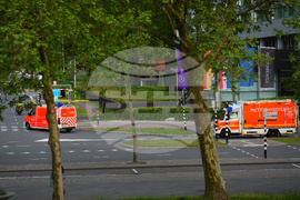 Netherlands Hantavirus Ship