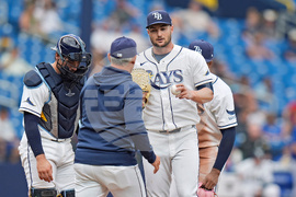 Blue Jays Rays Baseball