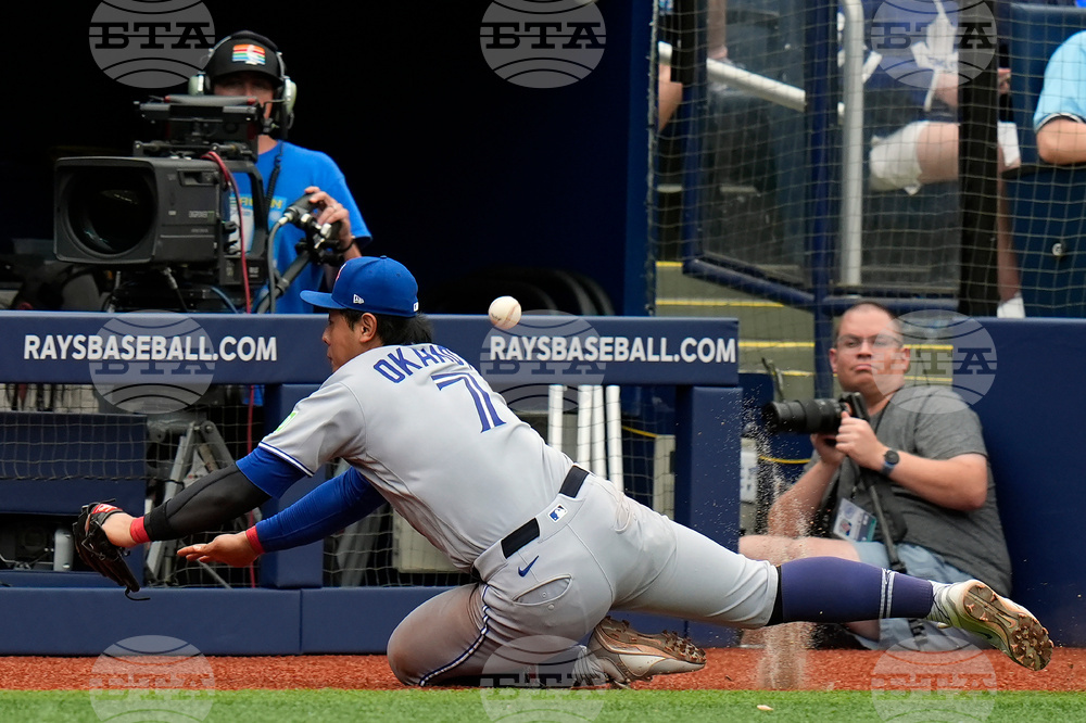 Blue Jays Rays Baseball