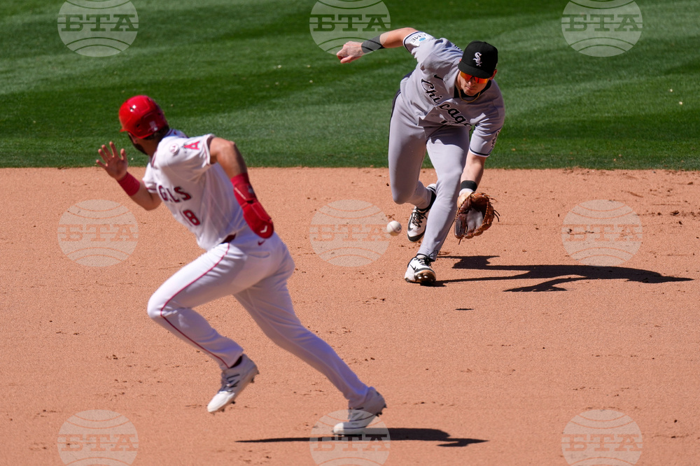 White Sox Angels Baseball