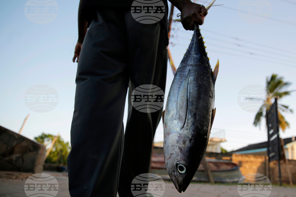 Indian Ocean Tuna Europe
