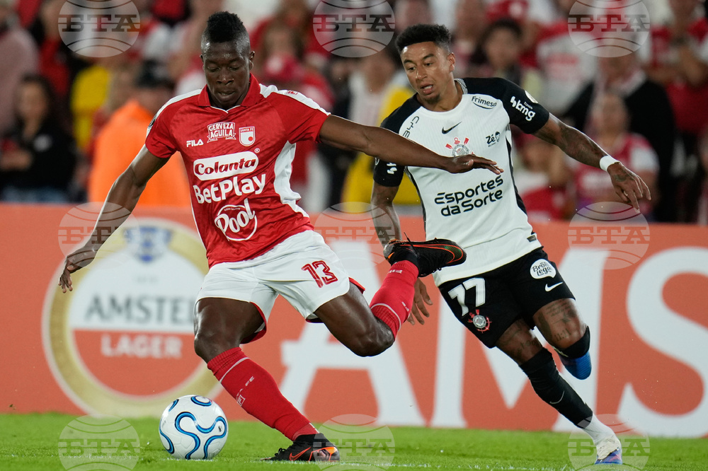 Colombia Brazil Copa Libertadores Soccer