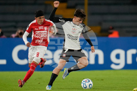 Colombia Brazil Copa Libertadores Soccer