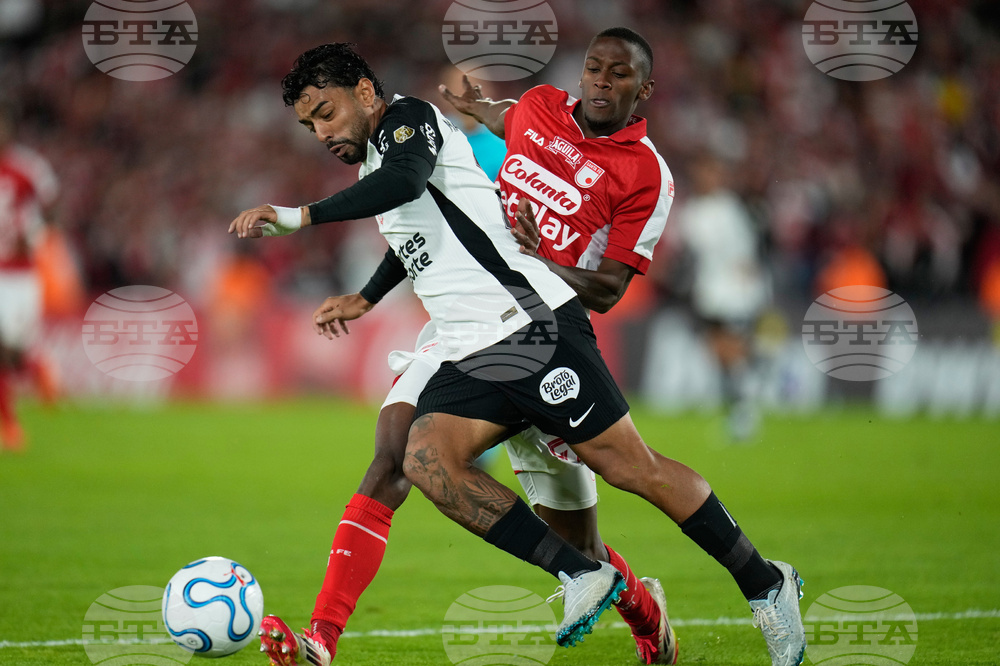 Colombia Brazil Copa Libertadores Soccer