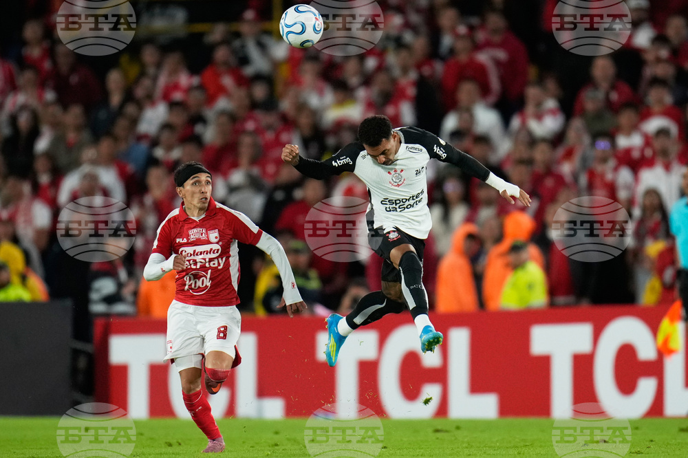 Colombia Brazil Copa Libertadores Soccer