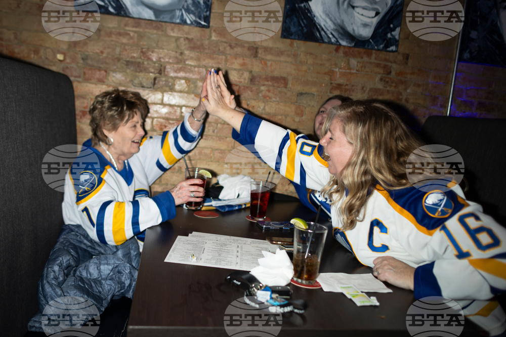 Sabres Fans Hockey