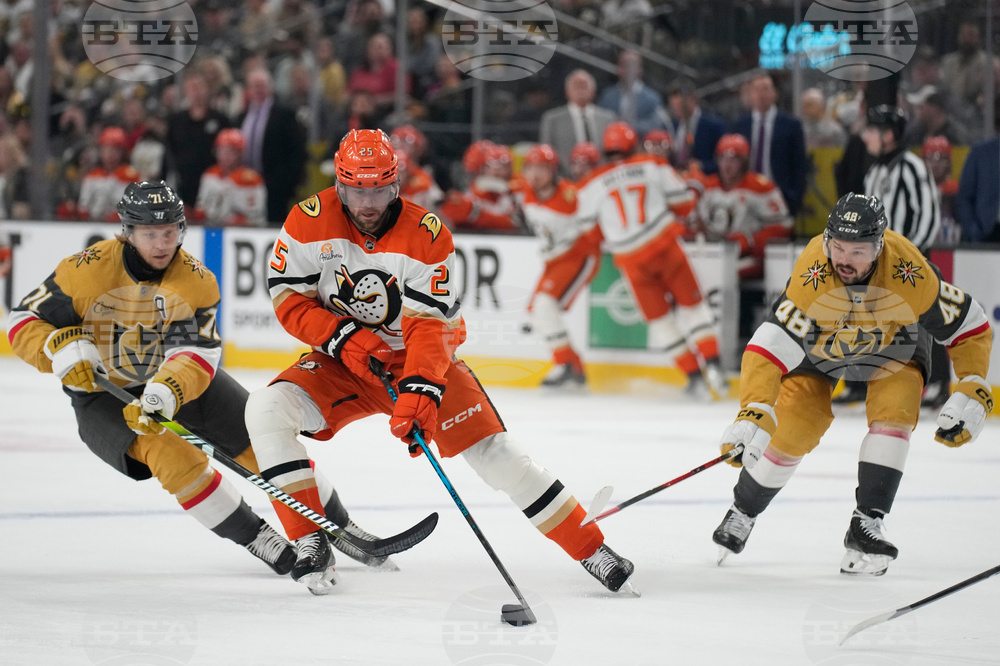 Ducks Golden Knights Hockey
