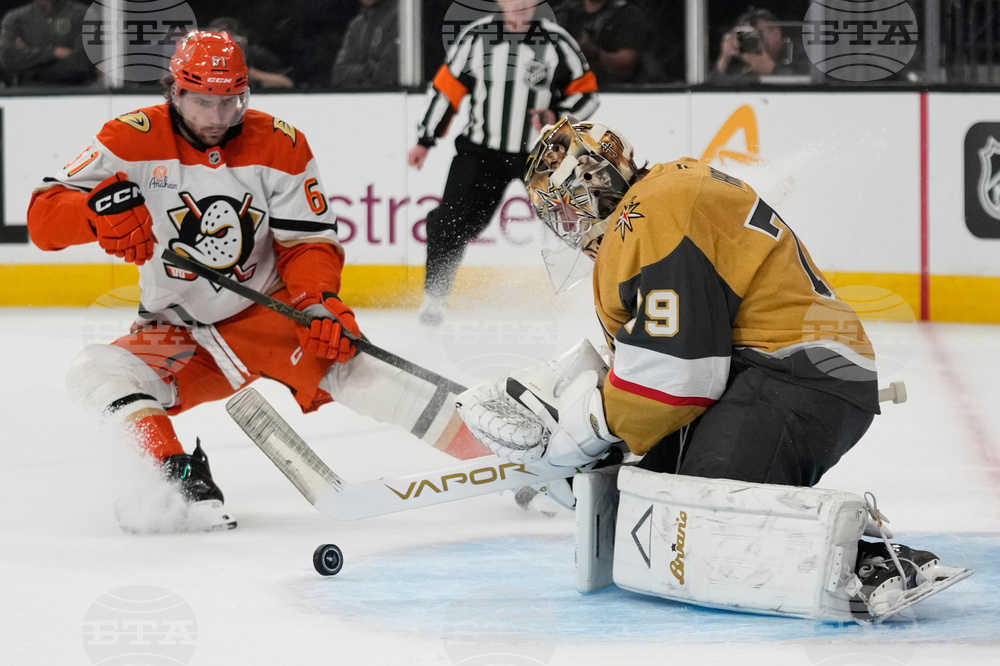 Ducks Golden Knights Hockey
