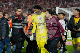 Colombia Brazil Copa Libertadores Soccer