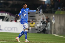 Chile Brazil Copa Libertadores Soccer