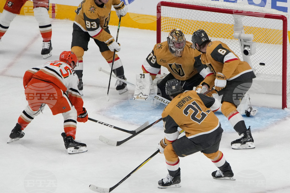 Ducks Golden Knights Hockey