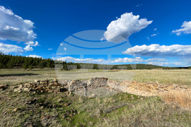 Ted Turner Conservation