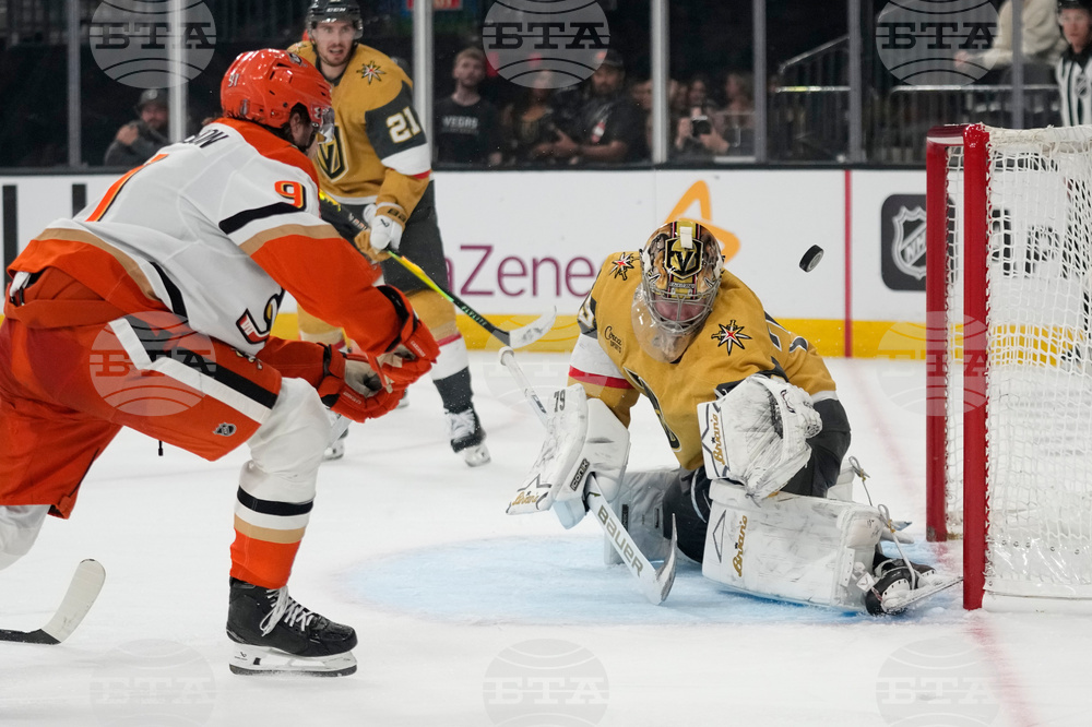 Ducks Golden Knights Hockey