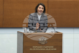 Народно събрание - заседание