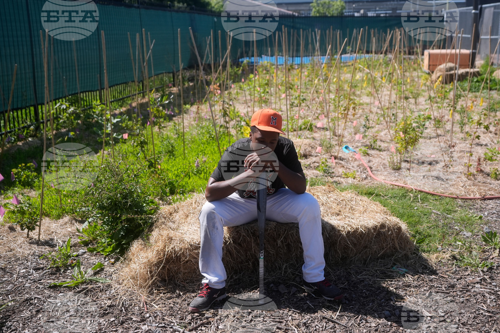 McClymonds Revival Baseball