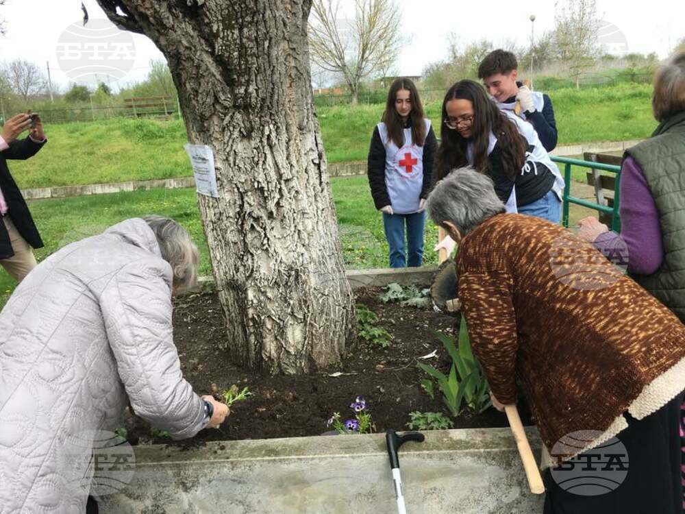 Доброволци от БМЧК и възрастни засадиха заедно цветя в зелените площи на Дома за стари хора в Разград