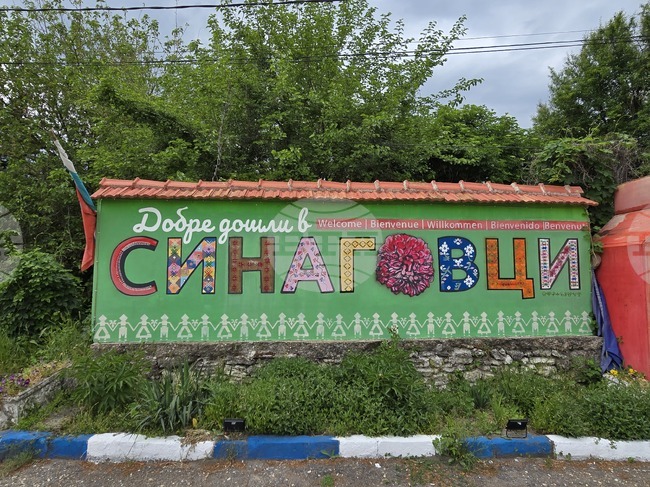 В село Синаговци се подготвят за второто издание на фестивала „Червените божури“
