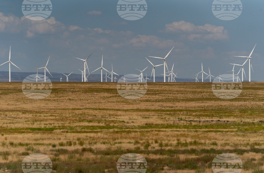 Trump Onshore Wind