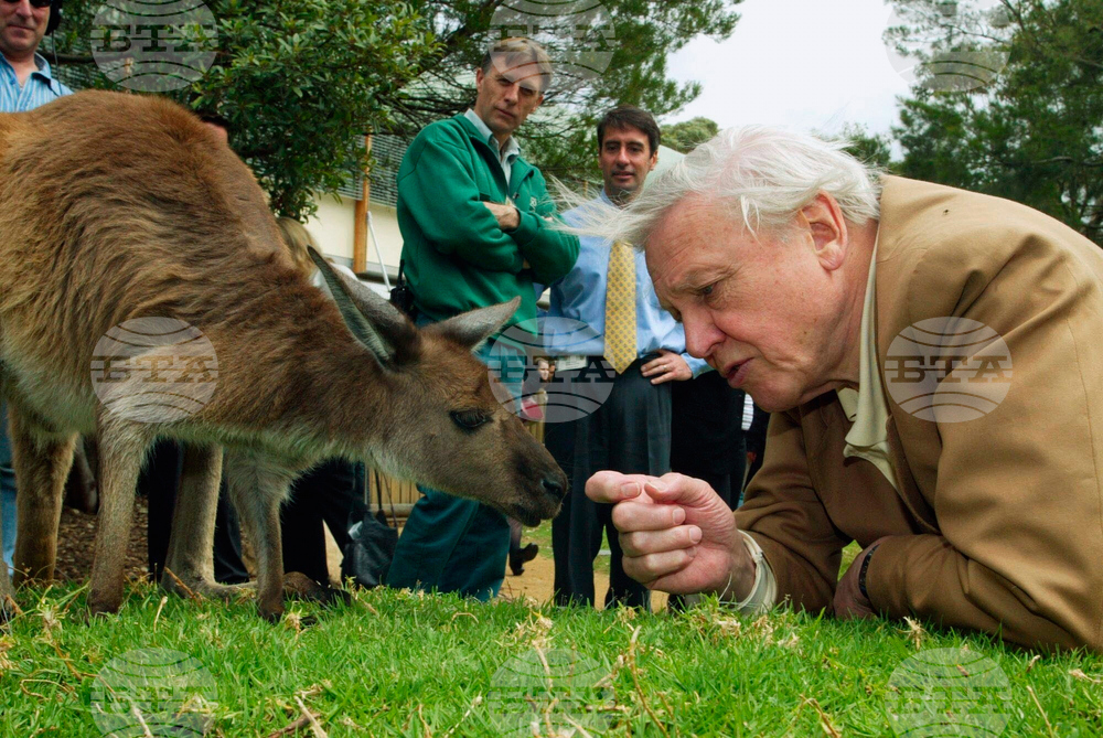 Britain Attenborough 100th Birthday