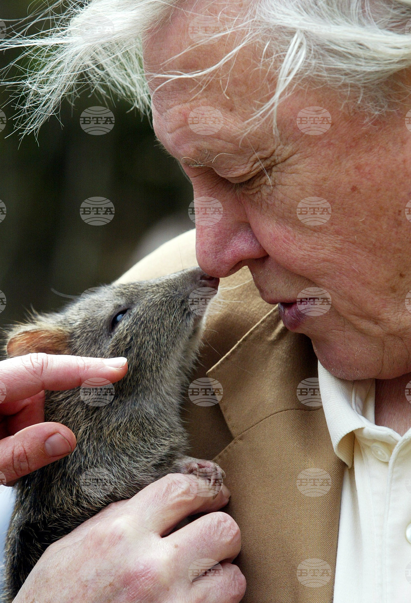 Britain Attenborough 100th Birthday