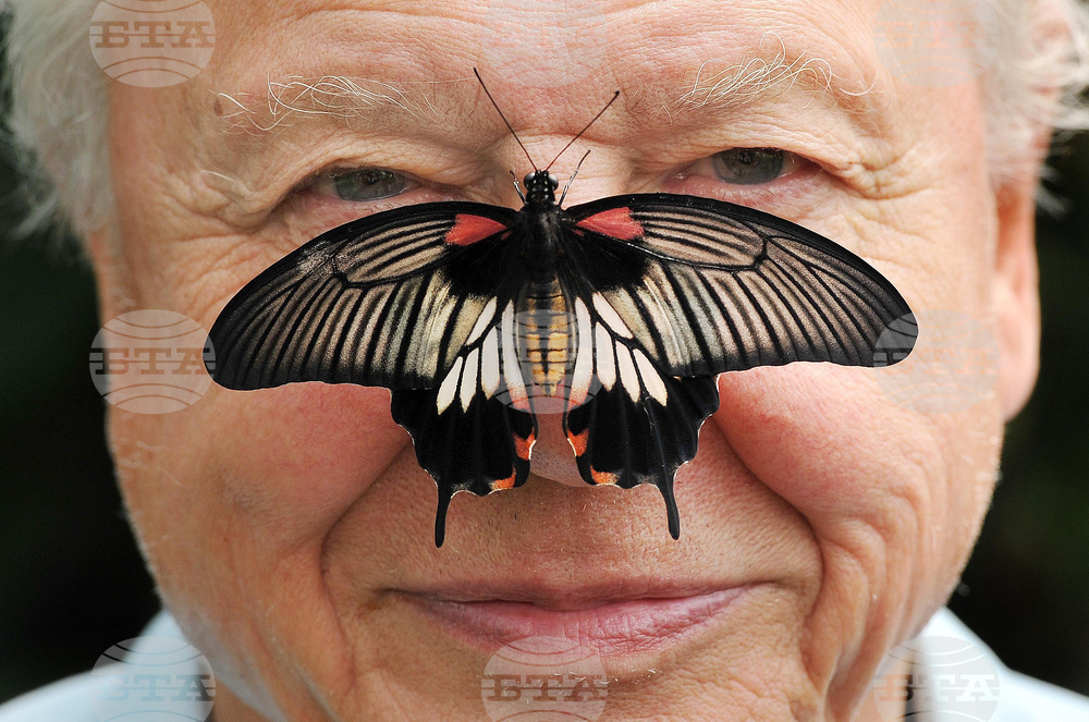 Britain Attenborough 100th Birthday