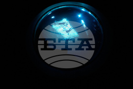 Georgia Aquarium Veterans
