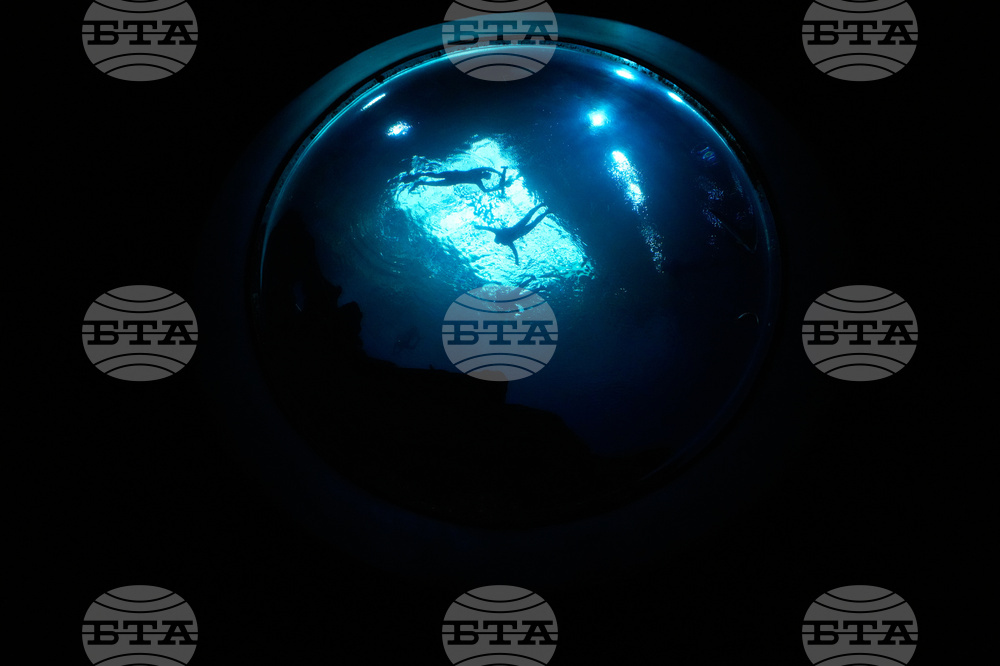 Georgia Aquarium Veterans