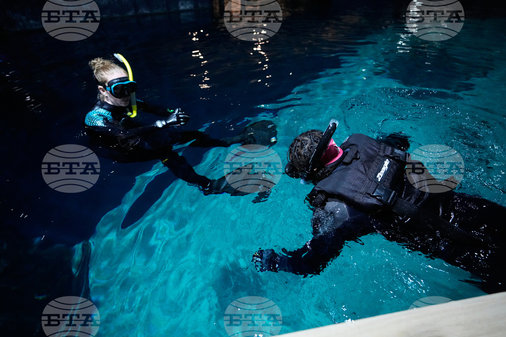 Georgia Aquarium Veterans
