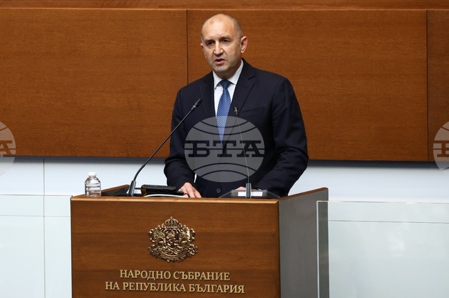Progressive Bulgaria's Radev: Bulgarian Citizens Expect Parliament to Pass Laws, Make Decisions Rather Than Generate Scandals